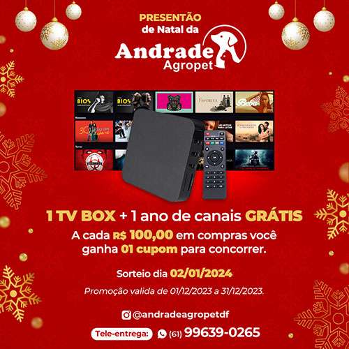 PROMO Natal 2024 - AA